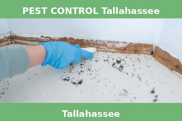PEST CONTROL Tallahassee
